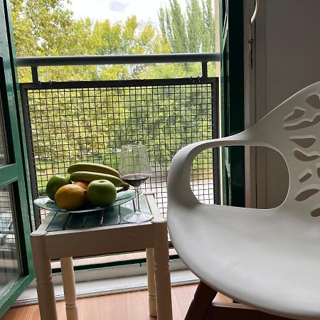 Un Rincon Con Vistas Al Parque Wifi Junto A Catedral By Apartamentos Логроньо Екстериор снимка